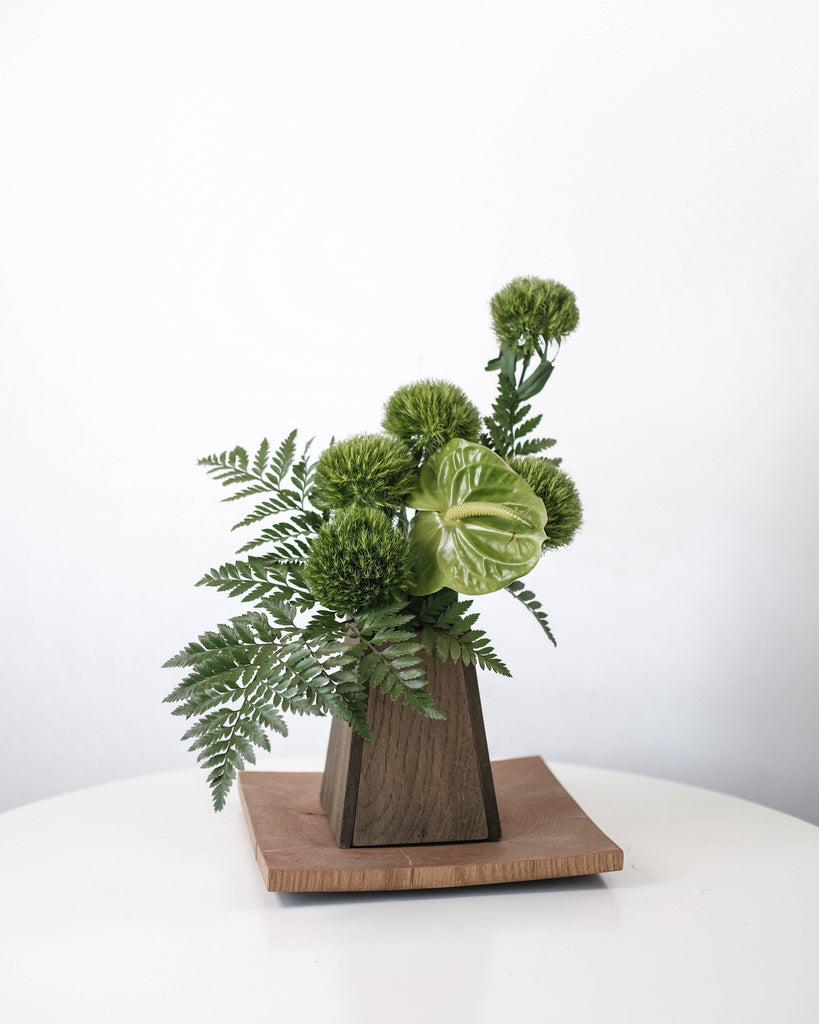 Baby Plant